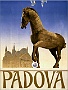 POSTER CITTA' DI PADOVA  (Alfredo Dalla Libera)